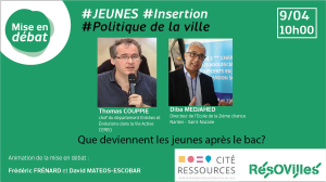 Vignette Webconférence